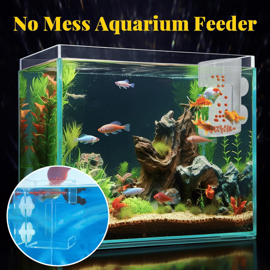 Aquarium feeding ring and tray in action