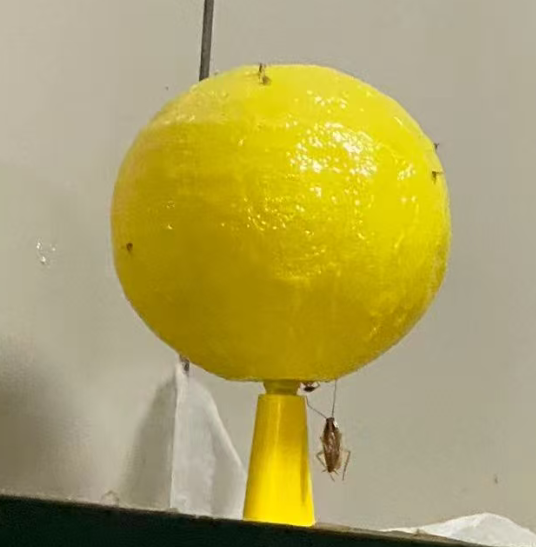 Fruit Fly Balls Fly Ball Trap, Sticky Insect Ball, Citrus Mosquito Ball Trap, Fruit Fly Traps, Fly Traps Indoor, 8.2cm Diameter, Heat-Resistant