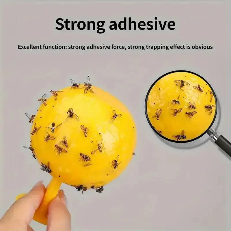Fruit Fly Balls Fly Ball Trap, Sticky Insect Ball, Citrus Mosquito Ball Trap, Fruit Fly Traps, Fly Traps Indoor, 8.2cm Diameter, Heat-Resistant