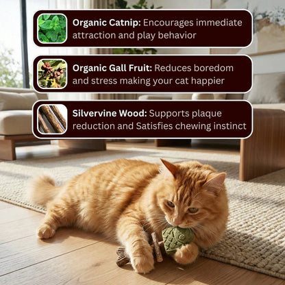 🔥Last Day Free Shipping ✨-Catnip & Silvervine Chew