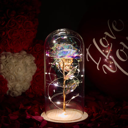 Enchanted Galaxy Forever Rose