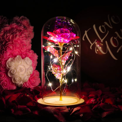 Enchanted Galaxy Forever Rose