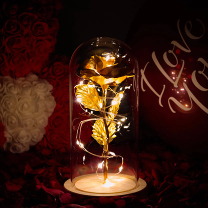 Enchanted Galaxy Forever Rose
