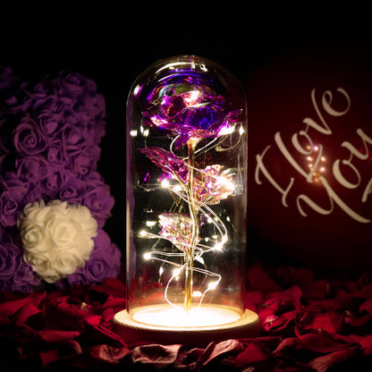 Enchanted Galaxy Forever Rose