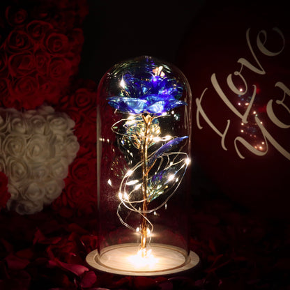 Enchanted Galaxy Forever Rose