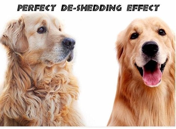 Pet Pro Grooming Tool