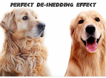 Pet Pro Grooming Tool