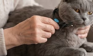 🐶🔥 Double-Sided Pet Hair Remover – Say Goodbye to Hair Everywhere! (🔥 Today Only: 80% OFF) 🐾🐾