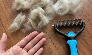 🐶🔥 Double-Sided Pet Hair Remover – Say Goodbye to Hair Everywhere! (🔥 Today Only: 80% OFF) 🐾🐾