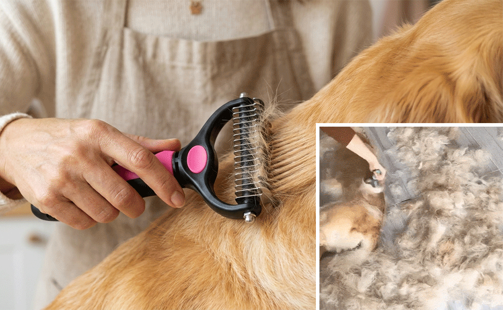 🐶🔥 Double-Sided Pet Hair Remover – Say Goodbye to Hair Everywhere! (🔥 Today Only: 80% OFF) 🐾🐾