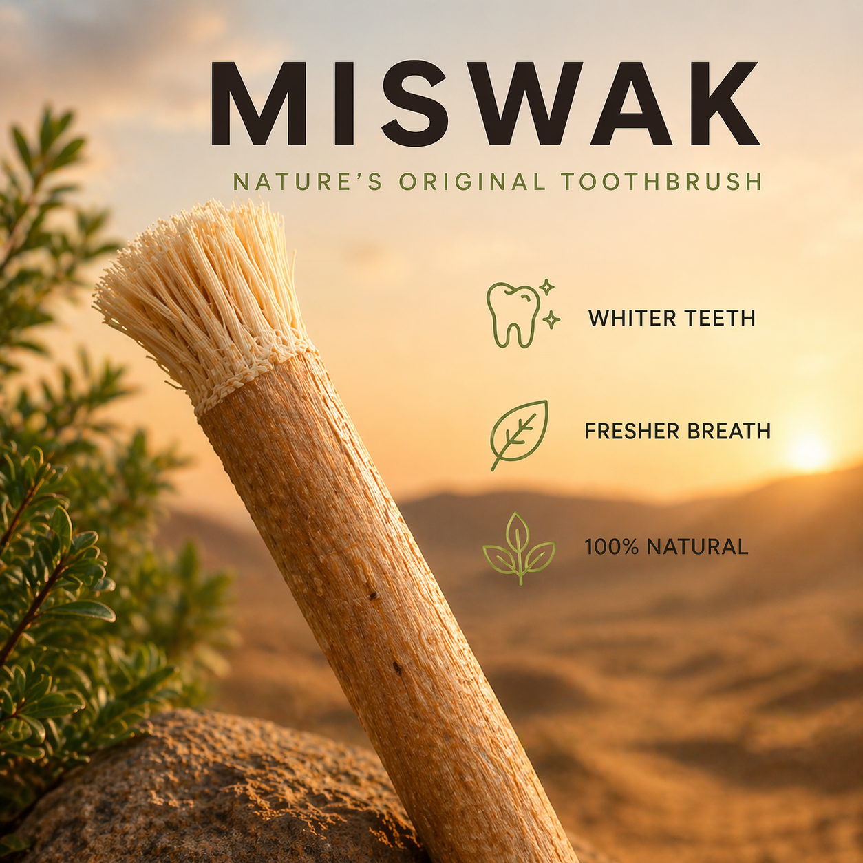 Natural  Toothbrush Sticks
