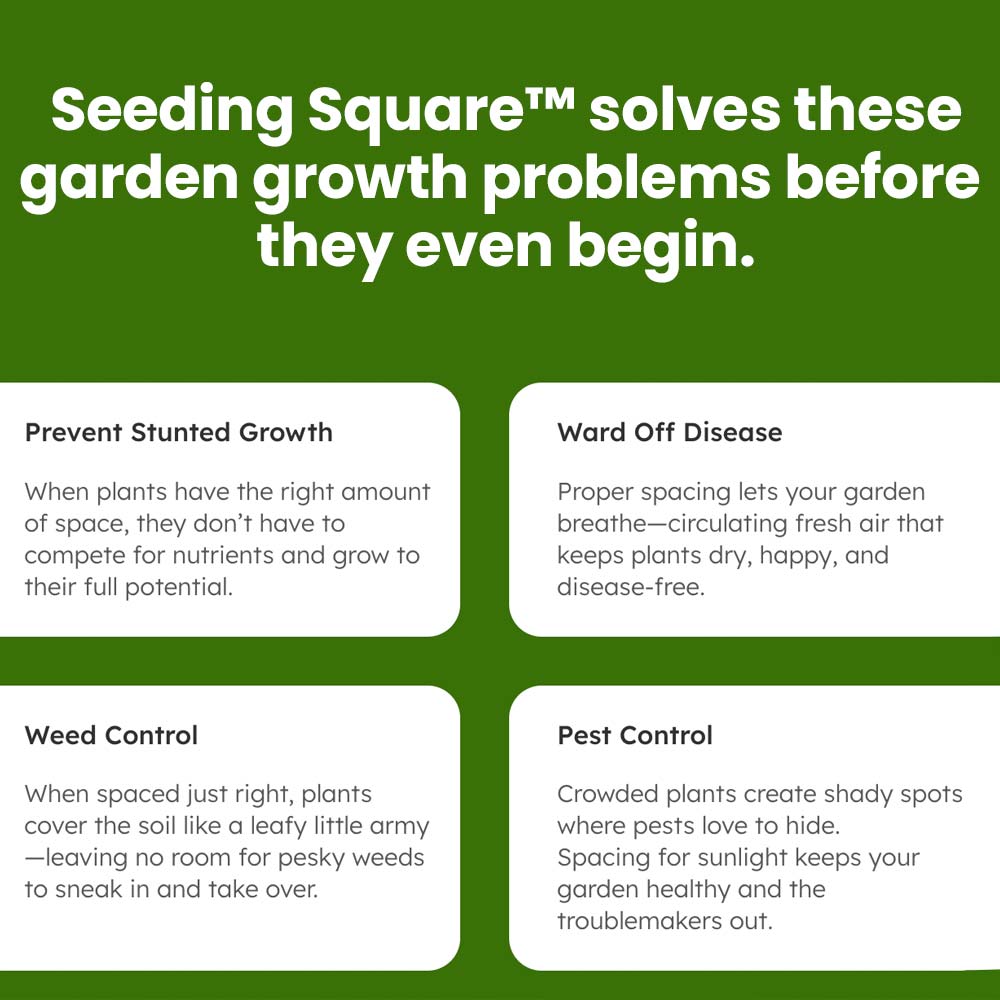 Seeding - Ultimate Garden Starter Kit + 'Seed 2 Splendor' Guidebook & Course