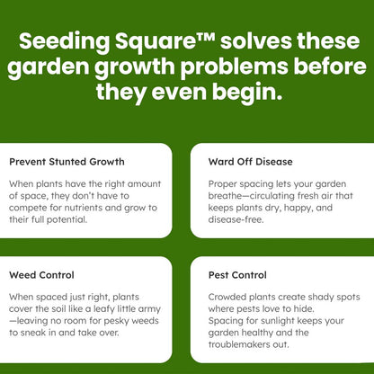 Seeding - Ultimate Garden Starter Kit + 'Seed 2 Splendor' Guidebook & Course