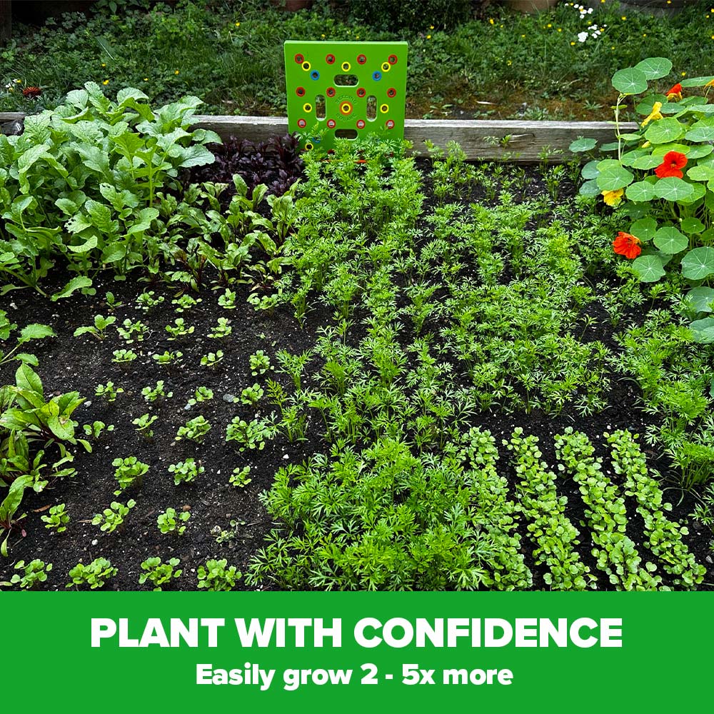 Seeding - Ultimate Garden Starter Kit + 'Seed 2 Splendor' Guidebook & Course
